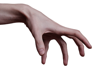 Top Hand Top Hand